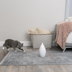 Jucărie cu laser PetSafe Zoom pentru pisici